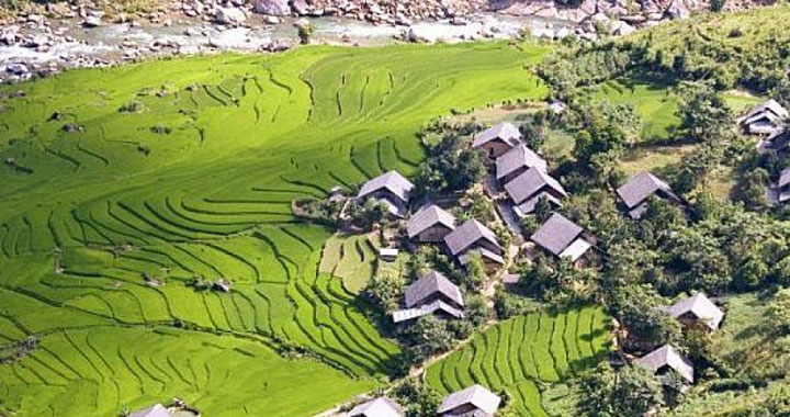 Ban Ho Village - Sapa - Lao Cai