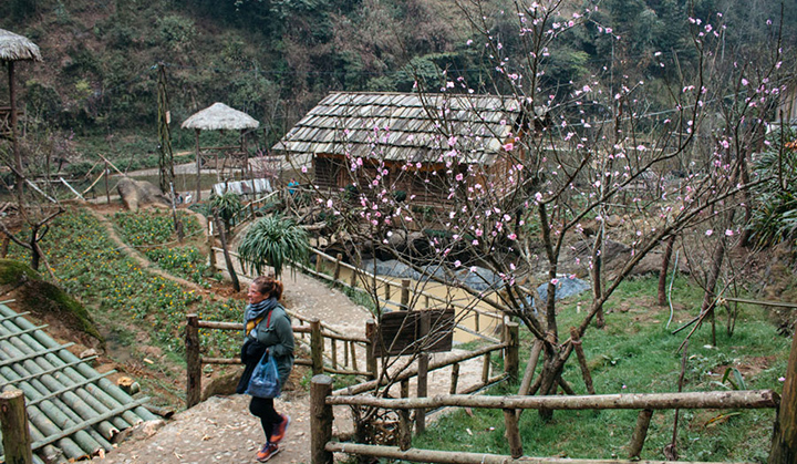 Cat Cat Village - Sapa