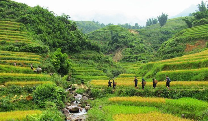 5 Famous Villages in Sapa - Sapa Travel Guide