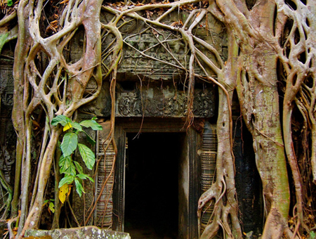 Angkor Temple