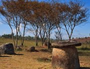 Buddha Park - Vientiane