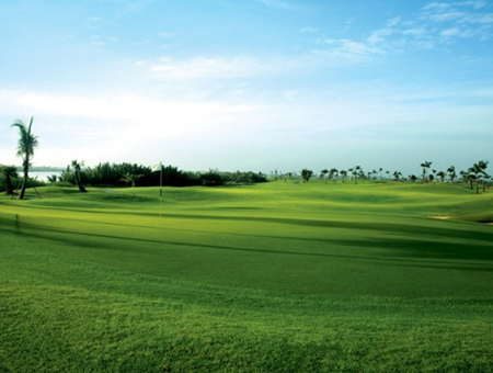 Vietnam Golf