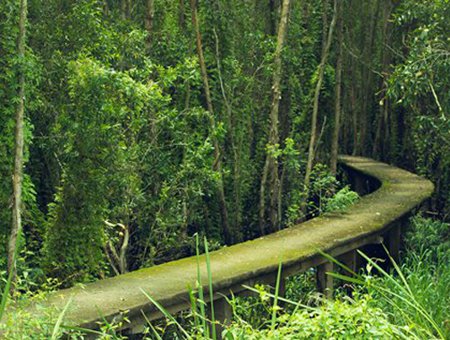 My Tho - Mekong Delta - Vietnam