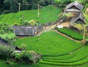 Laos