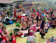 Sapa market