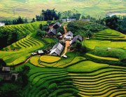 Sapa - Vietnam