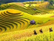 Sapa Trekking - Vietnam